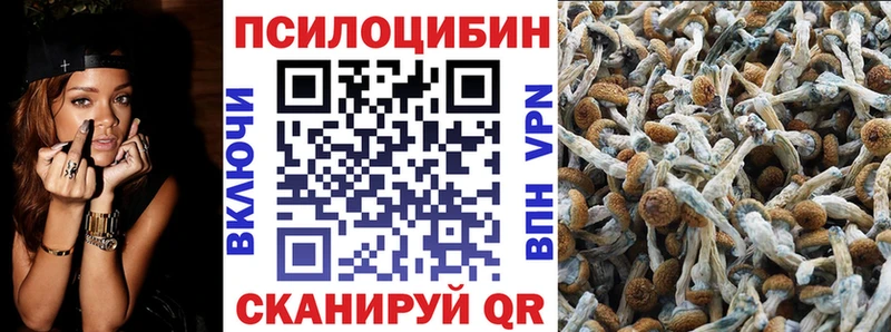 Псилоцибиновые грибы Cubensis  blacksprut зеркало  Орёл 